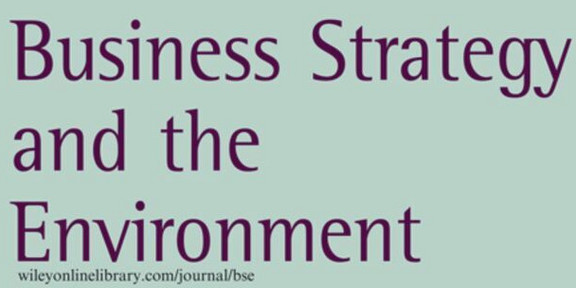 Logo of the journal Business Strategy and the Environment